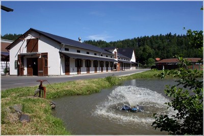 Stj ern koptko