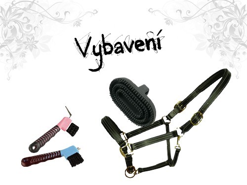 Vybaven