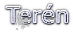 Tern