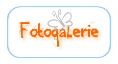 Fotogalexie