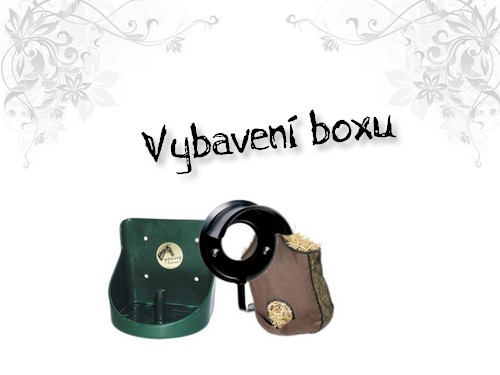 Vybaven boxu