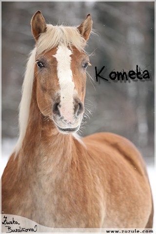 Kometa