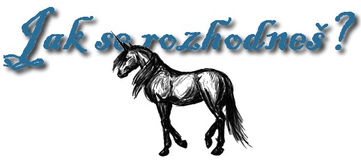 Jak se rozhodne?